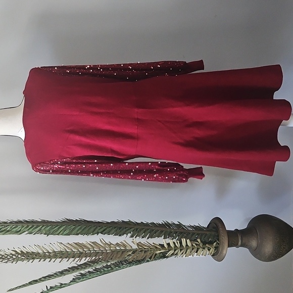 Cato Maroon Sweater Dress with Sequin and Pearl Long Sleeves - Picture 4 of 15